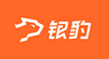 赢豹系统
